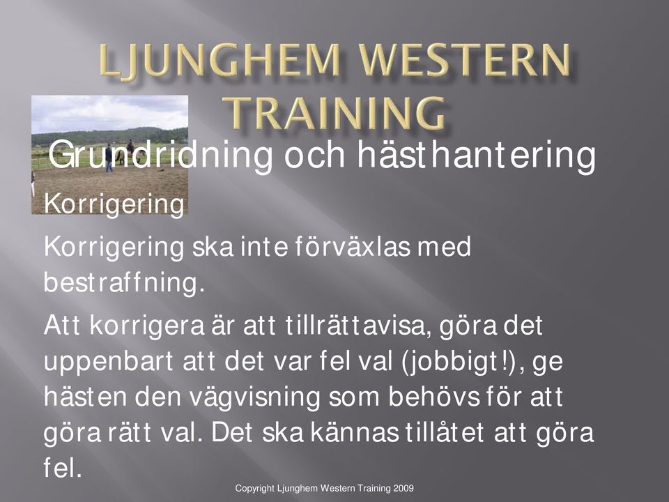 Att korrigera är att tillrättavisa, göra det uppenbart att det var