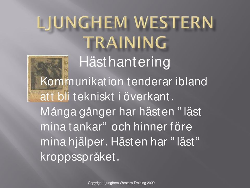 Många gånger har hästen läst mina tankar