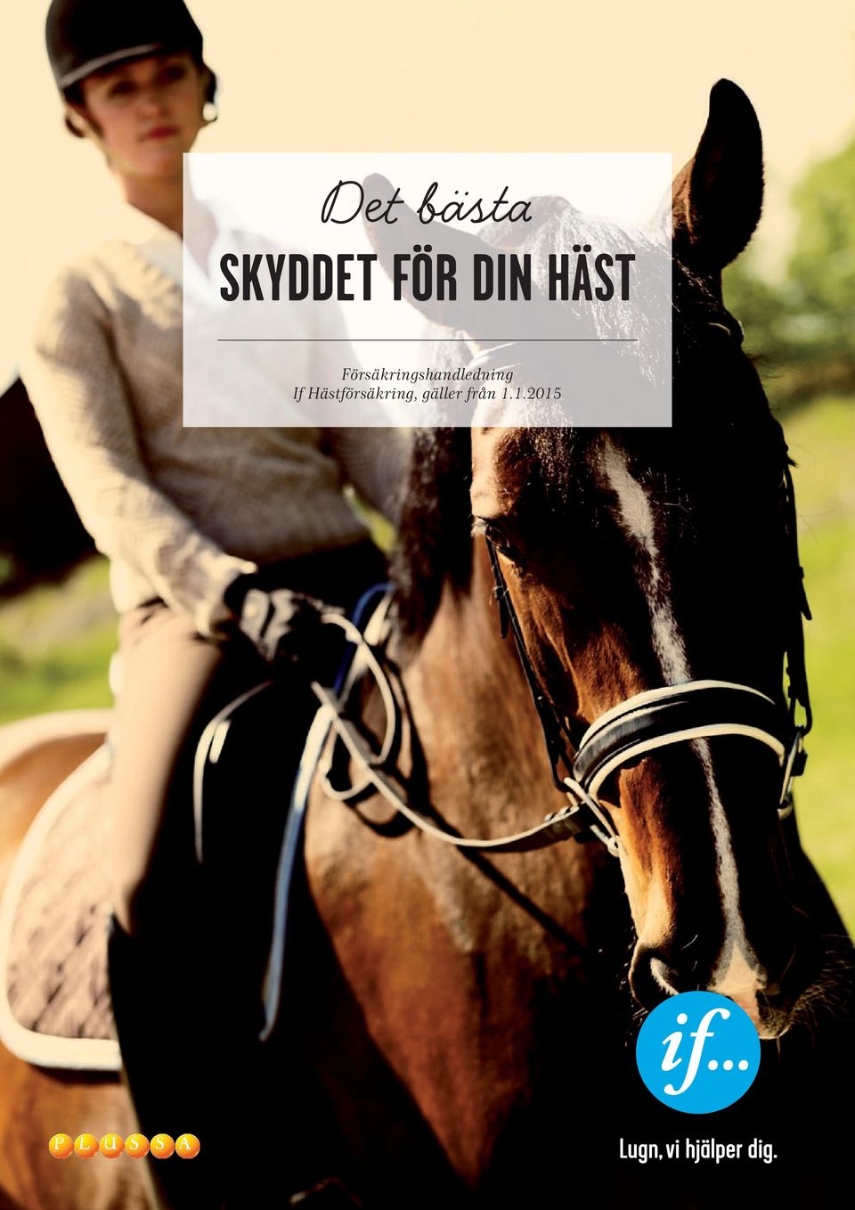 Försäkringshandledning
