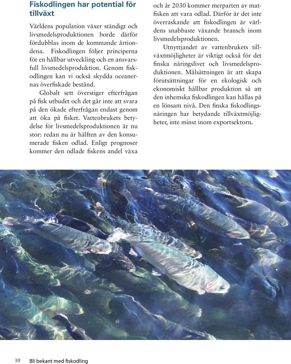 Globalt sett överstiger efterfrågan på fisk utbudet och det går inte att svara på den ökade efterfrågan endast genom att öka på fisket.