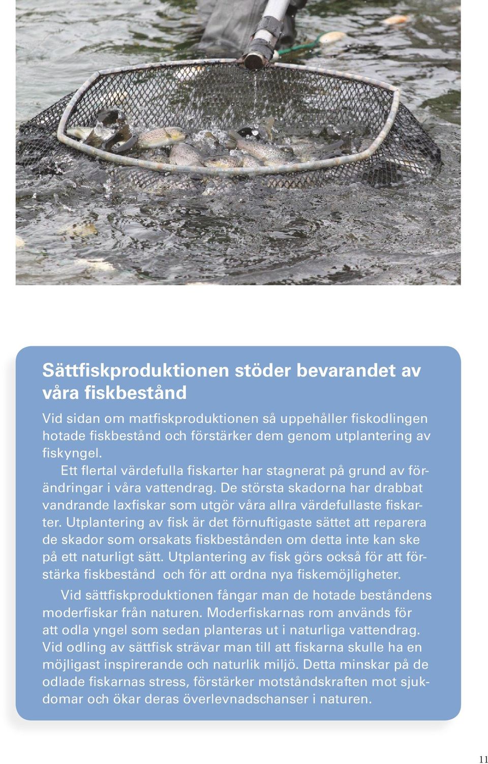 Utplantering av fisk är det förnuftigaste sättet att reparera de skador som orsakats fiskbestånden om detta inte kan ske på ett naturligt sätt.