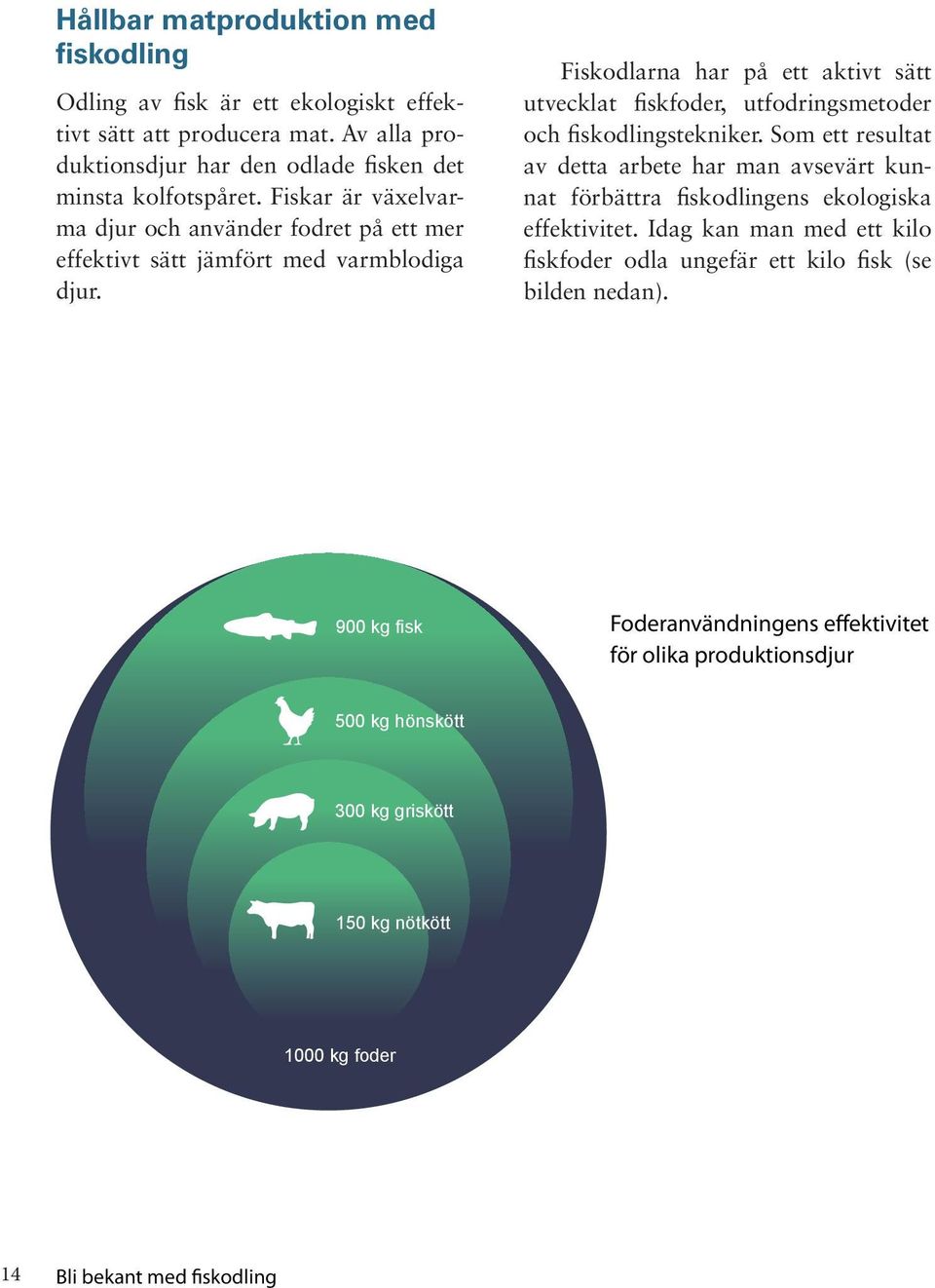 Fiskodlarna har på ett aktivt sätt utvecklat fiskfoder, utfodringsmetoder och fiskodlingstekniker.