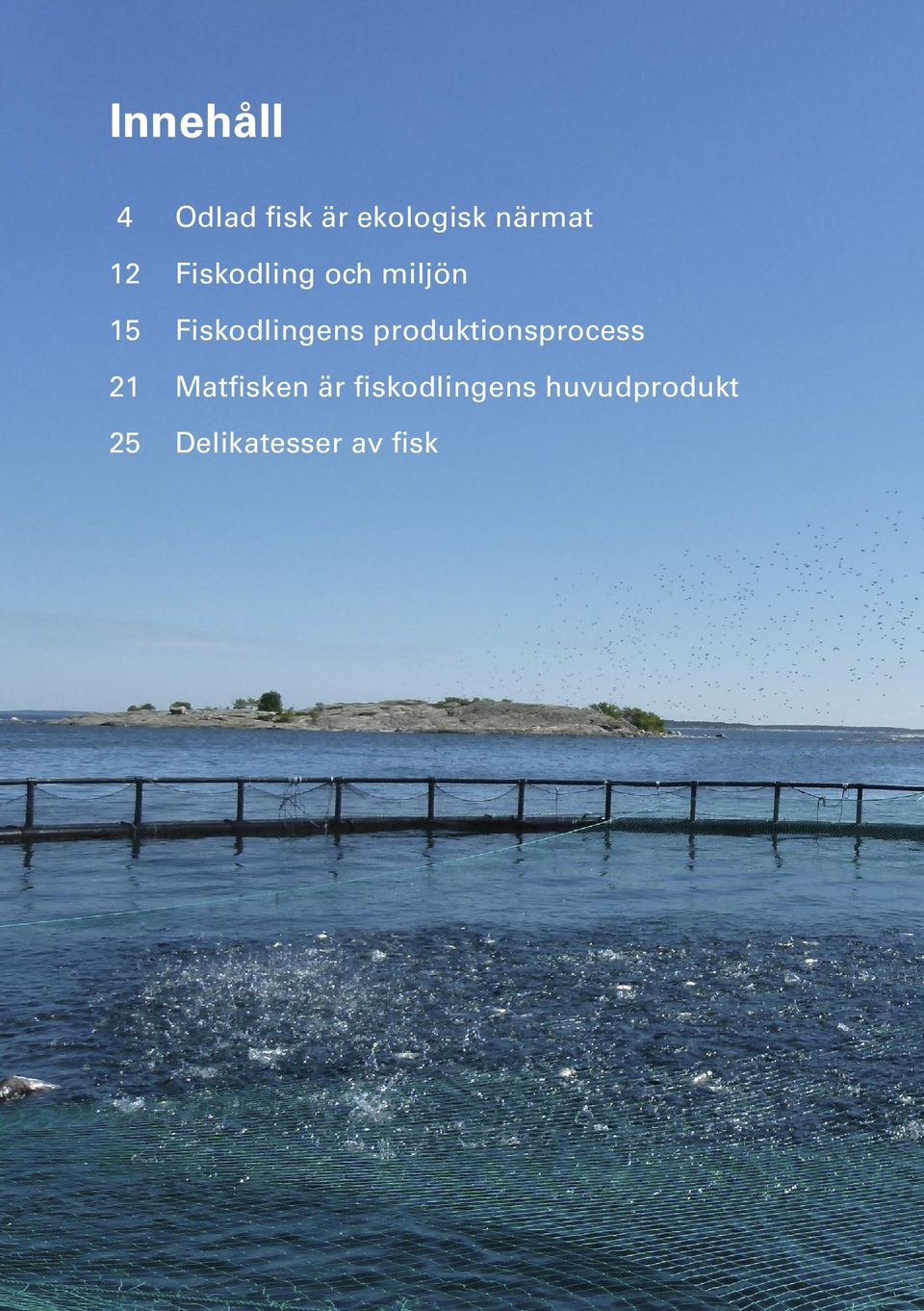 Fiskodlingens produktionsprocess Matfisken