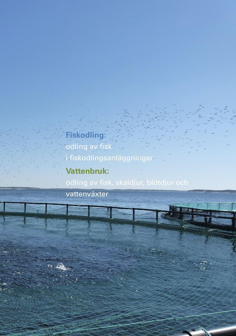 Vattenbruk: odling av fisk,