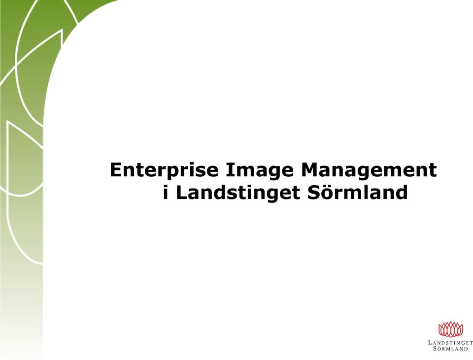 Management i