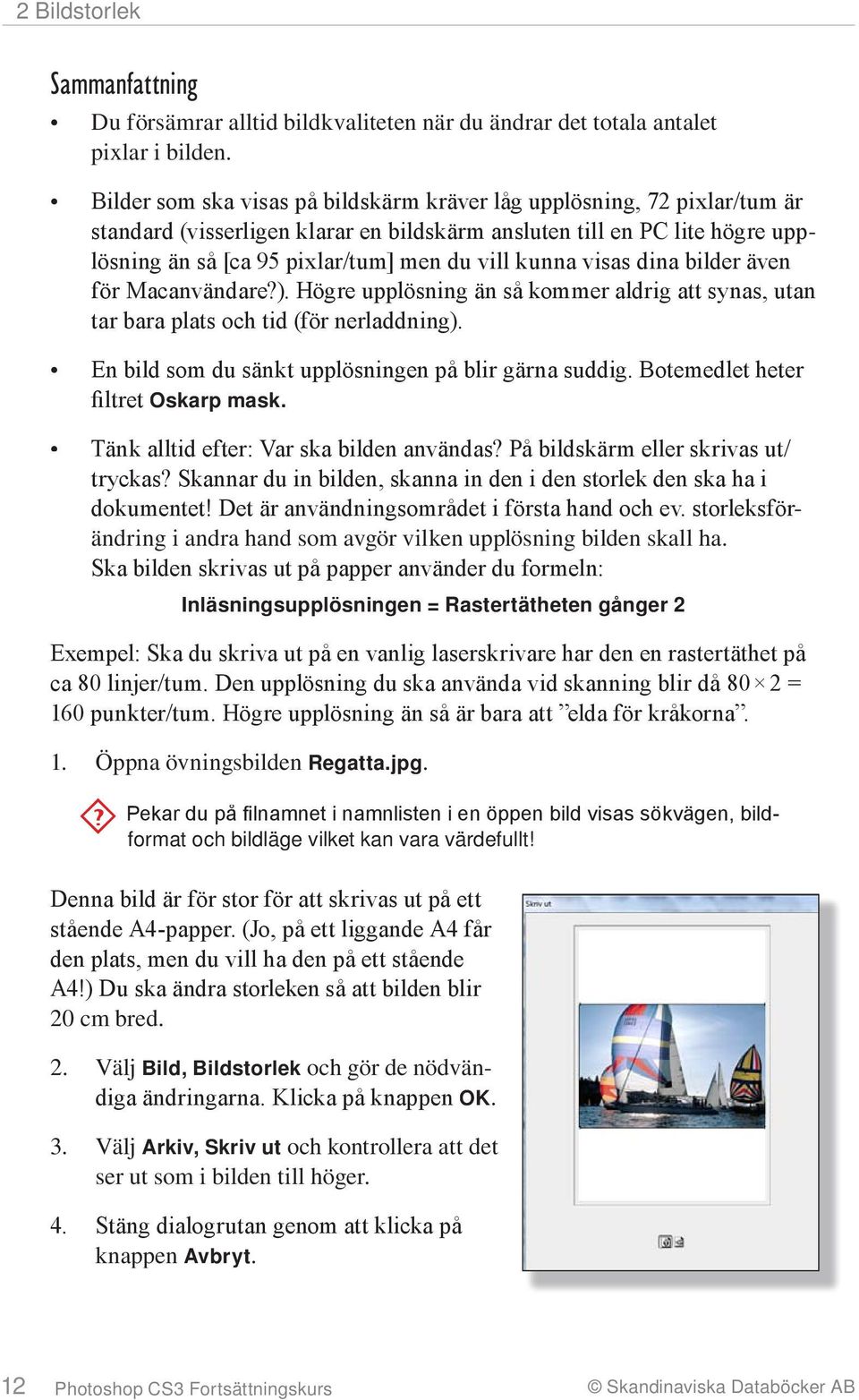 kunna visas dina bilder även för Macanvändare?). Högre upplösning än så kommer aldrig att synas, utan tar bara plats och tid (för nerladdning). En bild som du sänkt upplösningen på blir gärna suddig.