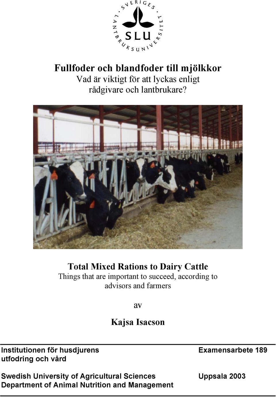 Total Mixed Rations to Dairy Cattle Things that are important to succeed, according to advisors