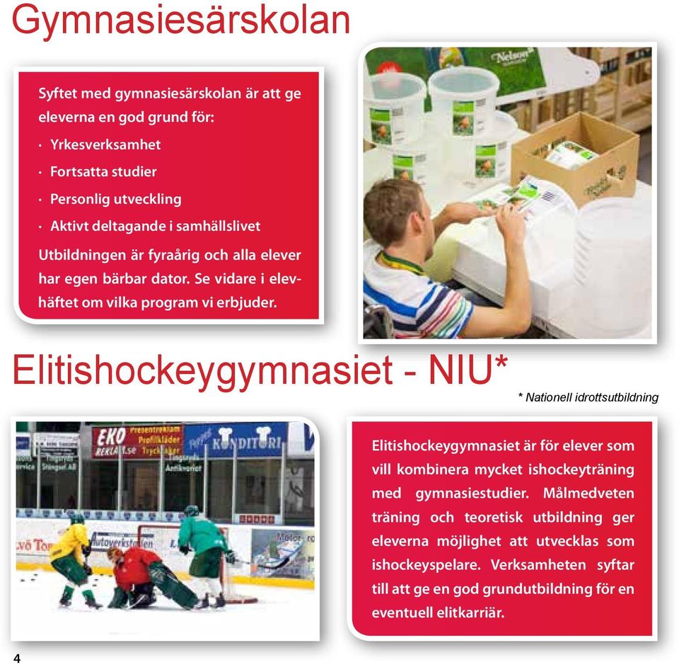 Elitishockeygymnasiet - NIU* * Nationell idrottsutbildning Elitishockeygymnasiet är för elever som vill kombinera mycket ishockeyträning med gymnasiestudier.