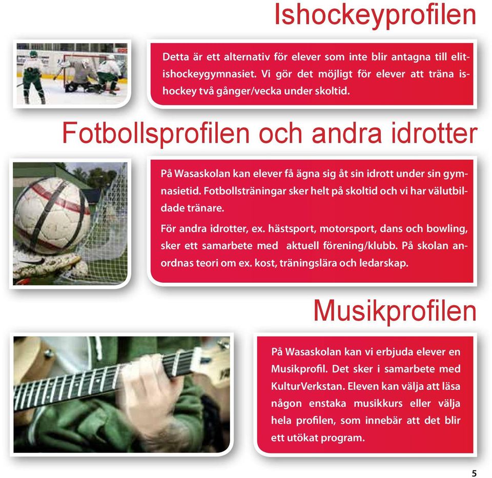 För andra idrotter, ex. hästsport, motorsport, dans och bowling, sker ett samarbete med aktuell förening/klubb. På skolan anordnas teori om ex. kost, träningslära och ledarskap.