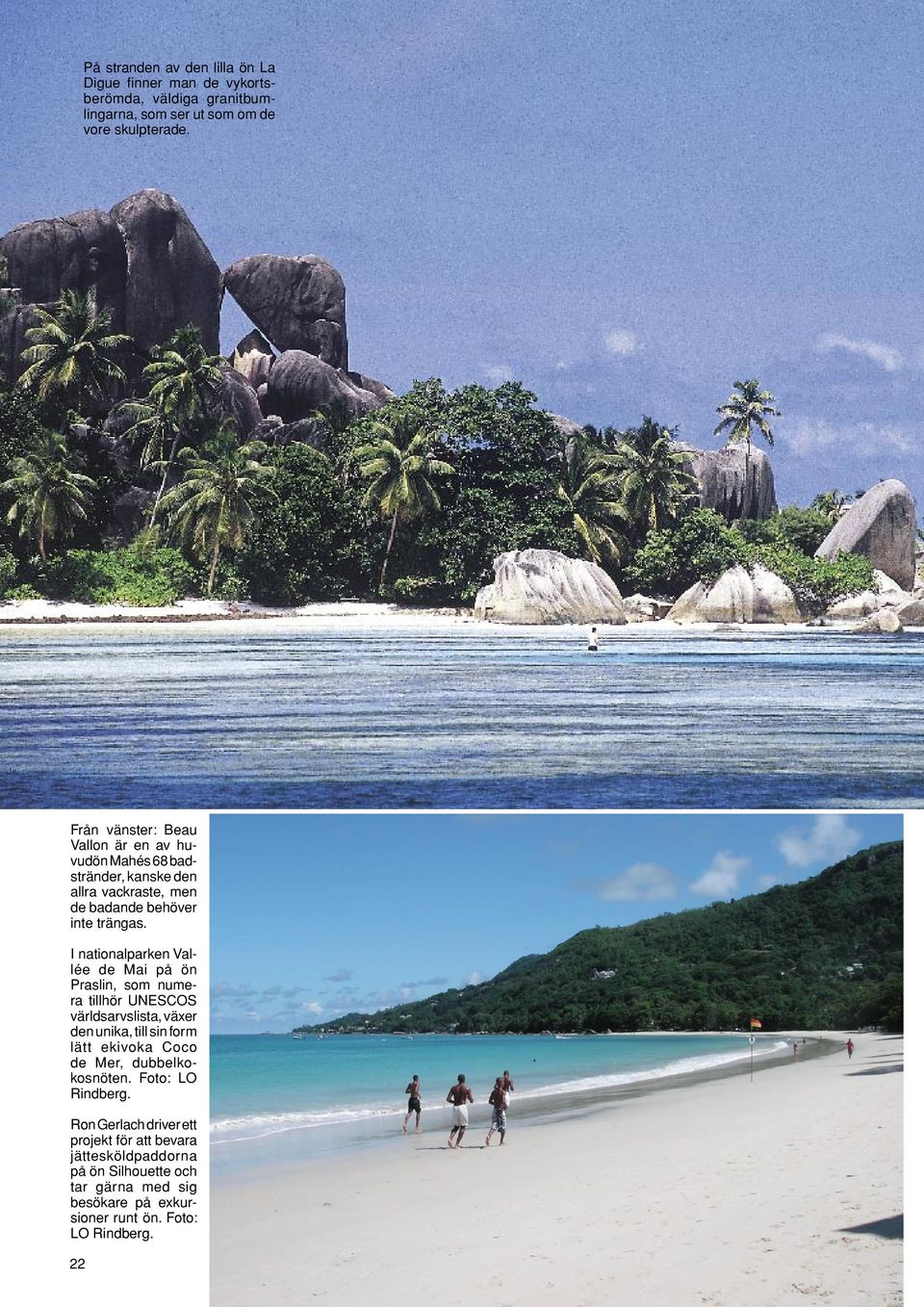 I nationalparken Vallée de Mai på ön Praslin, som numera tillhör UNESCOS världsarvslista, växer den unika, till sin form lätt ekivoka Coco de Mer,