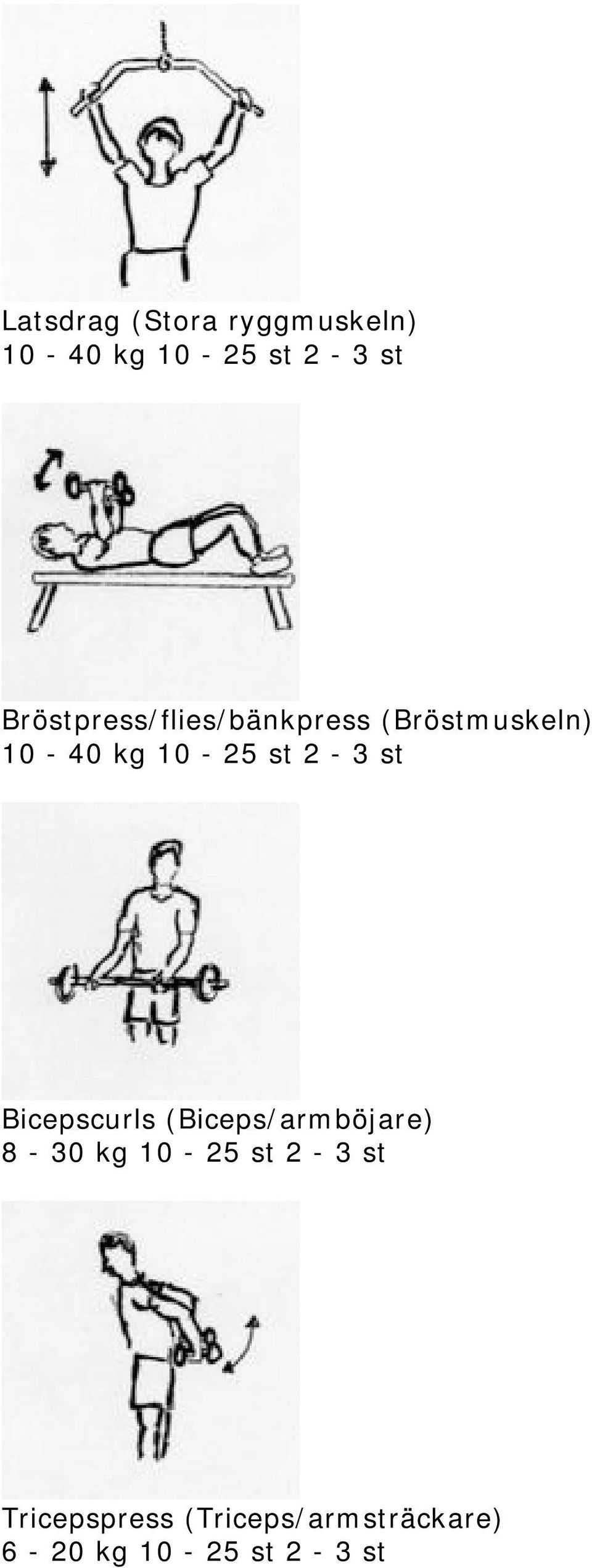 st 2-3 st Bicepscurls (Biceps/armböjare) 8-30 kg 10-25 st