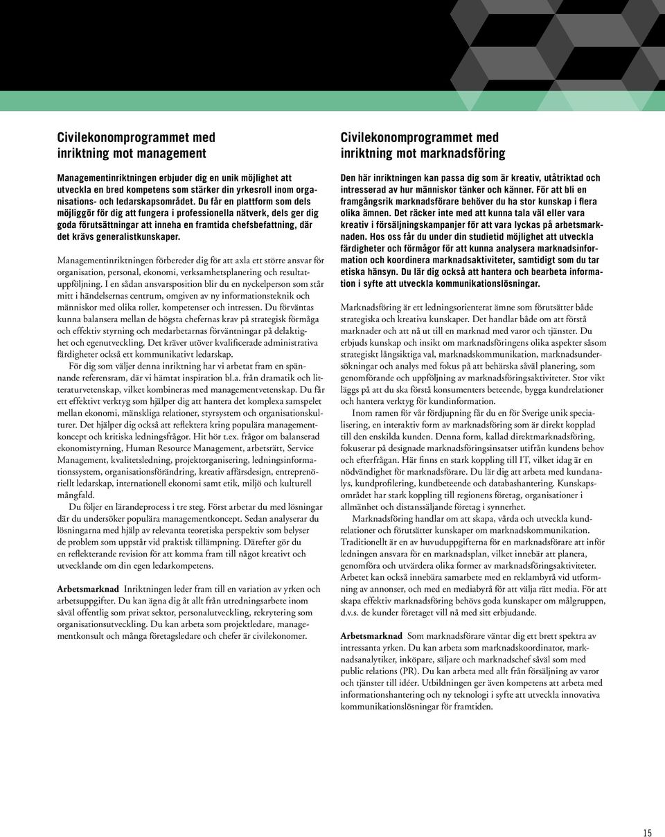 Du får en plattform som dels möjliggör för dig att fungera i professionella nätverk, dels ger dig goda förutsättningar att inneha en framtida chefsbefattning, där det krävs generalistkunskaper.