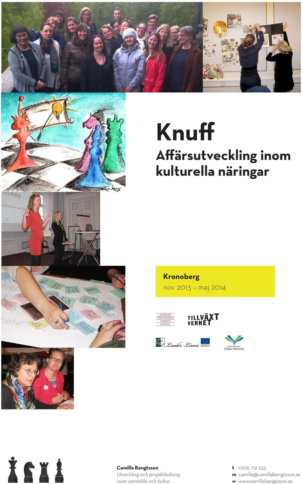 Utveckling och projektledning inom samhälle och kultur.