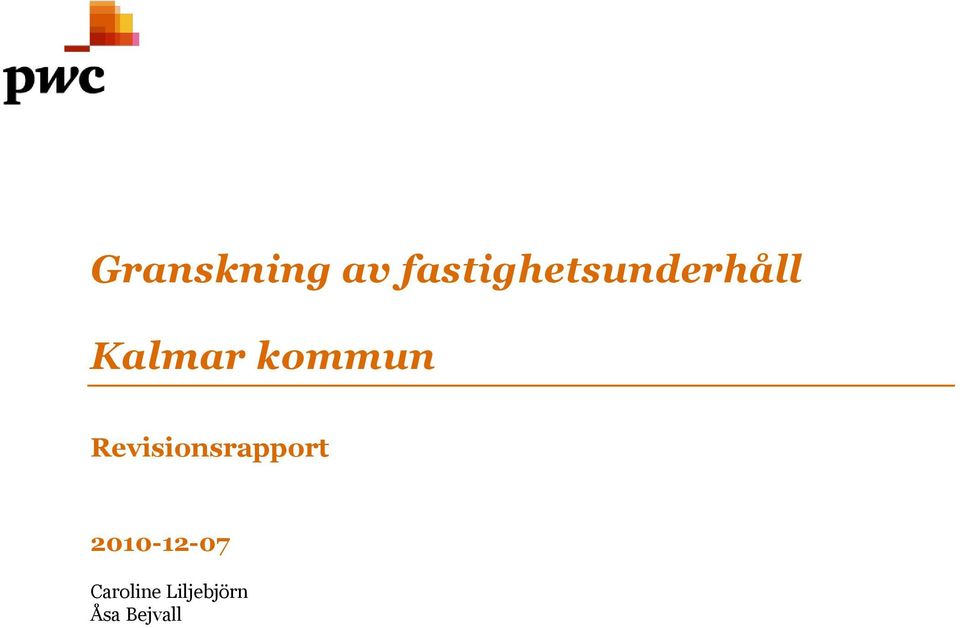 kommun Revisionsrapport