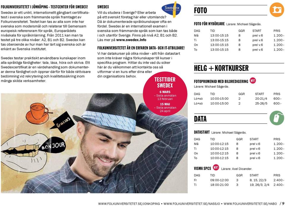 Från 2011 kan man ta testet på tre olika nivåer: A2, B1 och B2. Swedex kan tas oberoende av hur man har lärt sig svenska och är erkänt av Svenska institutet.