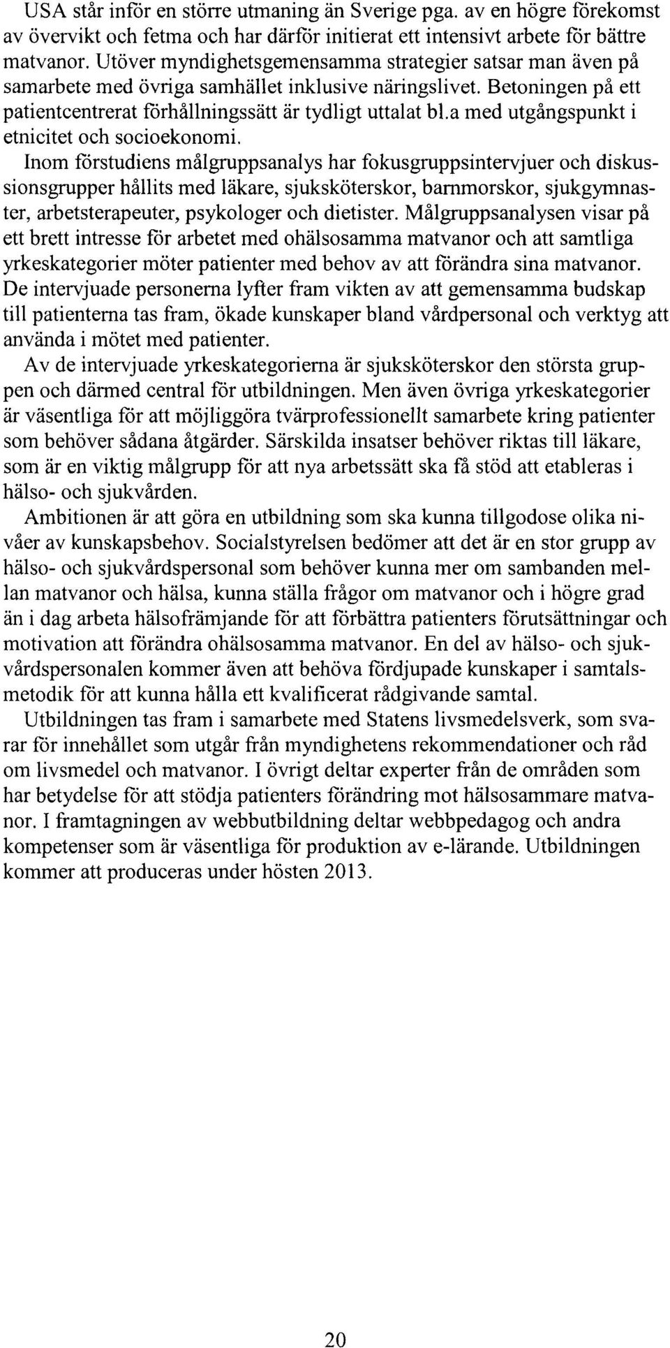 a med utgångspunkt i etnicitet och socioekonomi.