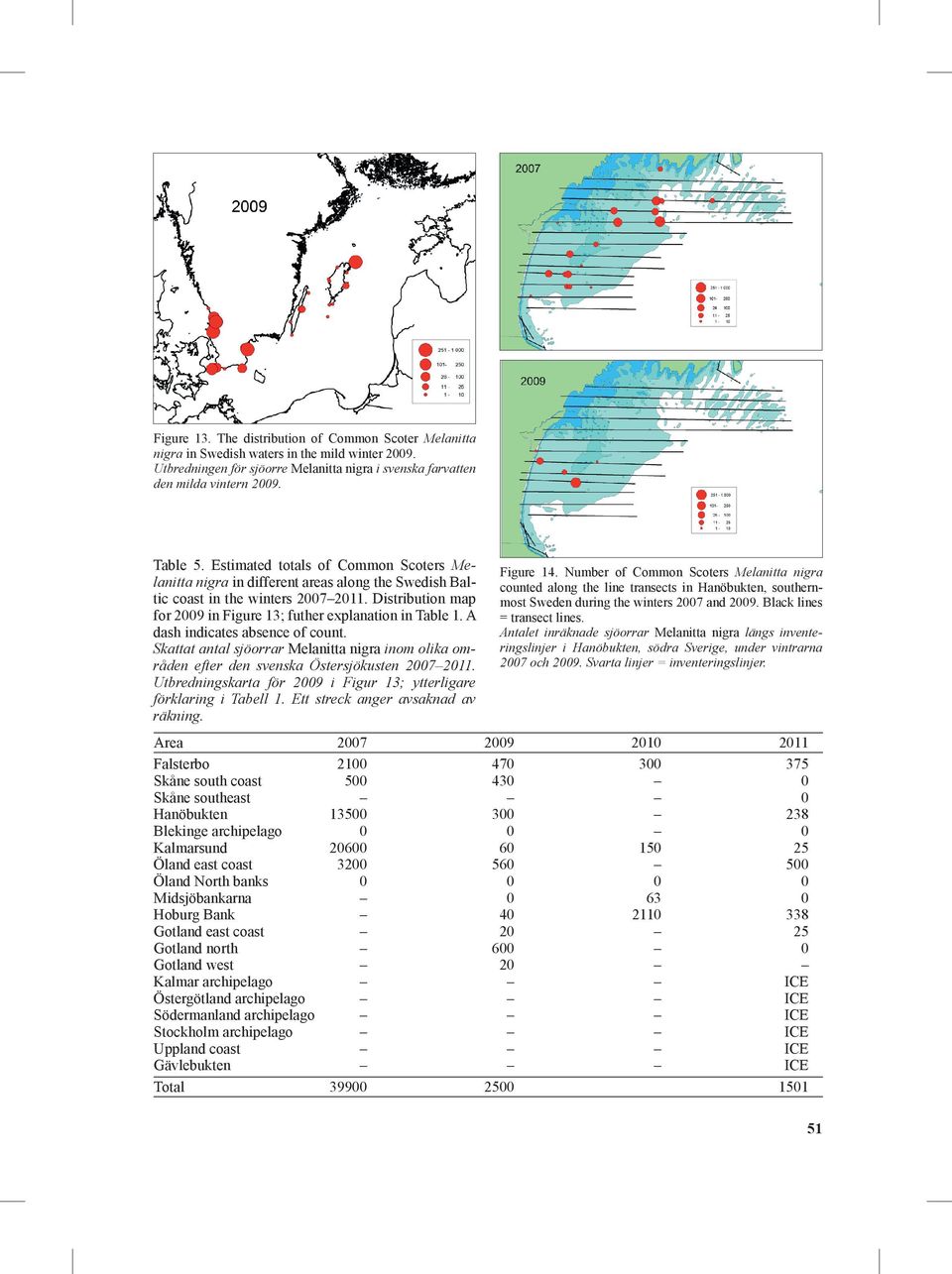 A dash indicates absence of count. Skattat antal sjöorrar Melanitta nigra inom olika områden efter den svenska Östersjökusten 2007 2011.