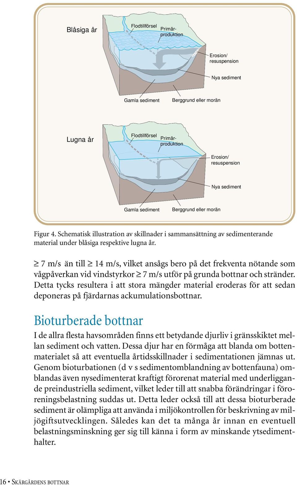 Genom bioturbationen (d v s sedimentomblandning av bottenfauna) omblandas även nysedimenterat kraftigt förorenat material med underliggande preindustriella sediment, vilket leder till att snabba