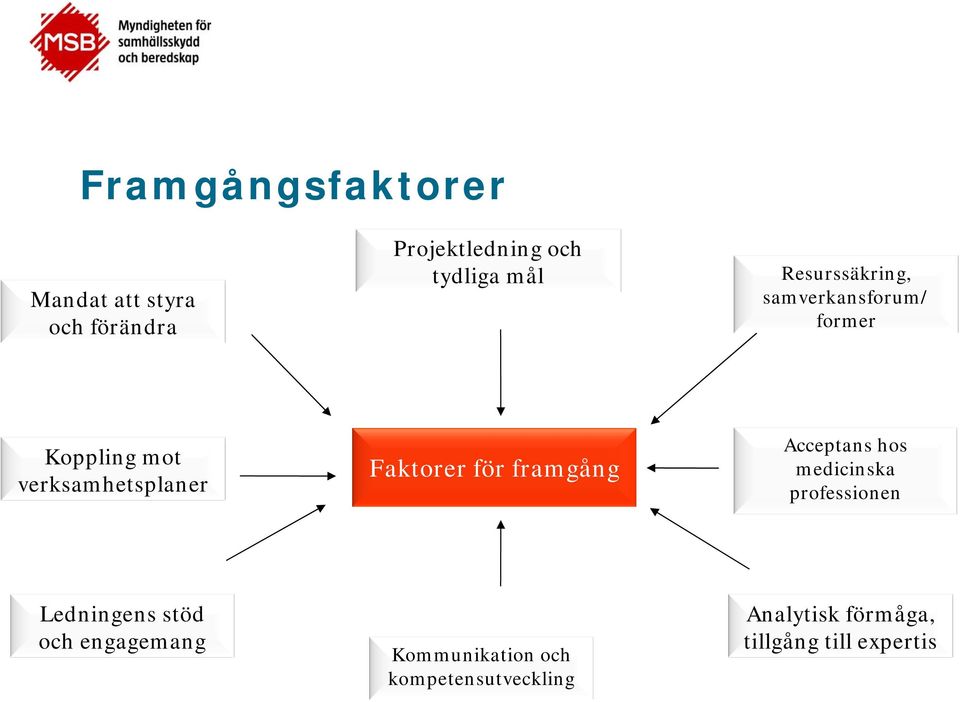 för framgång Acceptans hos medicinska professionen Ledningens stöd och