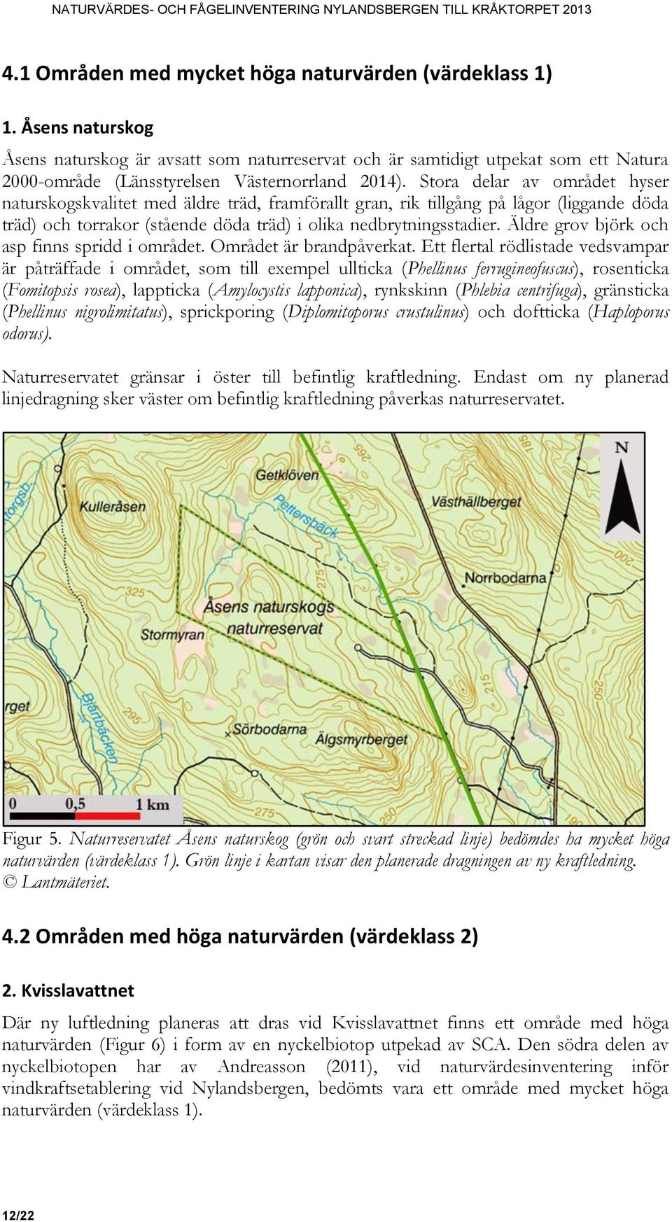 Stora delar av området hyser naturskogskvalitet med äldre träd, framförallt gran, rik tillgång på lågor (liggande döda träd) och torrakor (stående döda träd) i olika nedbrytningsstadier.