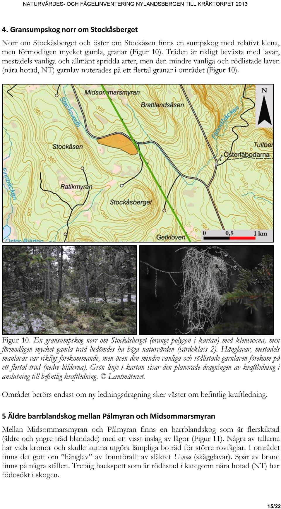 10). Figur 10. En gransumpskog norr om Stockåsberget (orange polygon i kartan) med klenvuxna, men förmodligen mycket gamla träd bedömdes ha höga naturvärden (värdeklass 2).