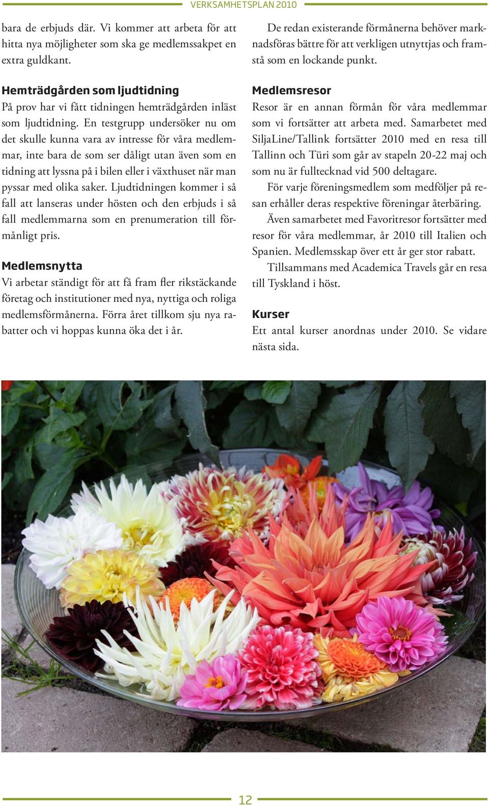 En testgrupp undersöker nu om det skulle kunna vara av intresse för våra medlemmar, inte bara de som ser dåligt utan även som en tidning att lyssna på i bilen eller i växthuset när man pyssar med