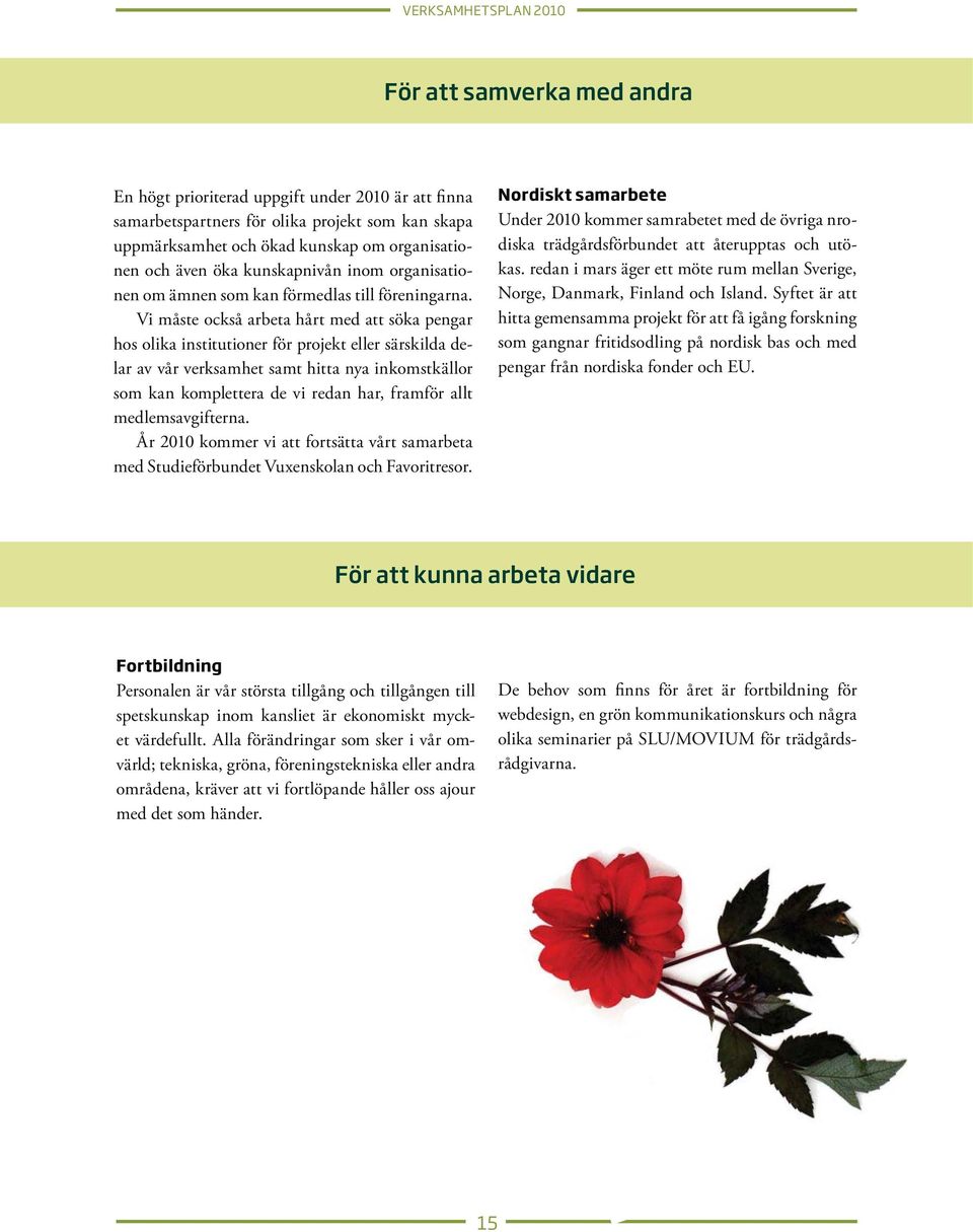 Vi måste också arbeta hårt med att söka pengar hos olika institutioner för projekt eller särskilda delar av vår verksamhet samt hitta nya inkomstkällor som kan komplettera de vi redan har, framför