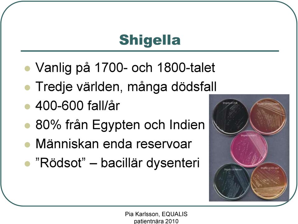 fall/år 80% från Egypten och Indien