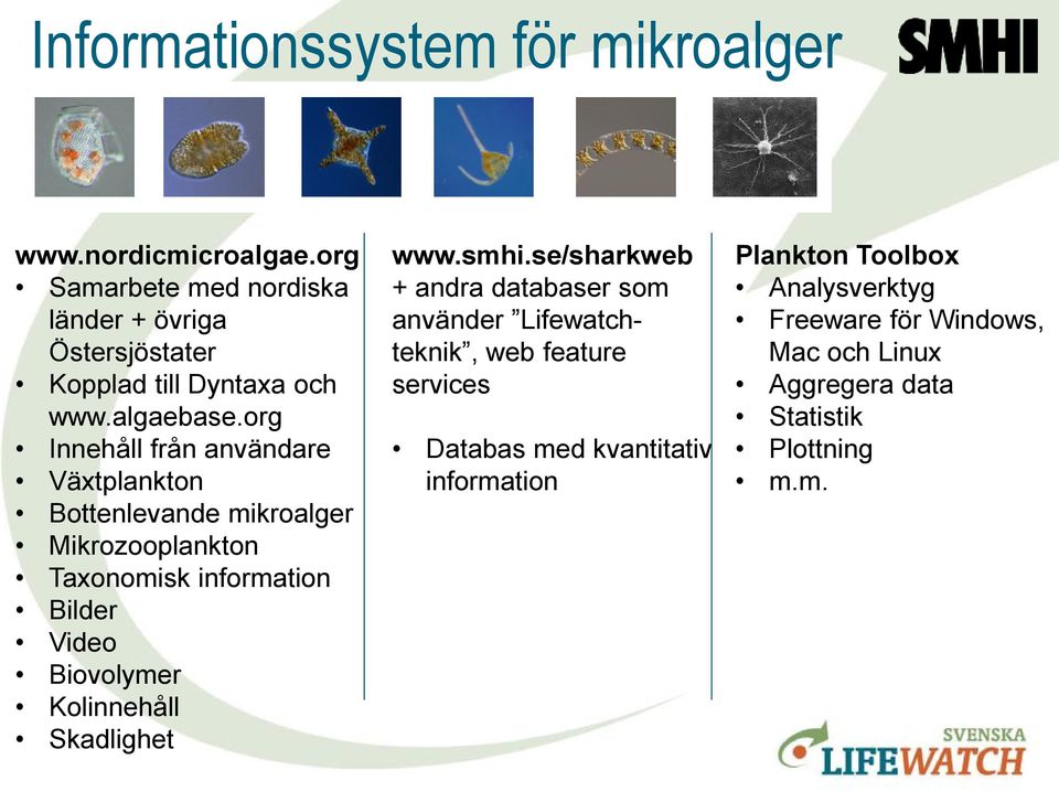 org Innehåll från användare Växtplankton Bottenlevande mikroalger Mikrozooplankton Taxonomisk information Bilder Video Biovolymer