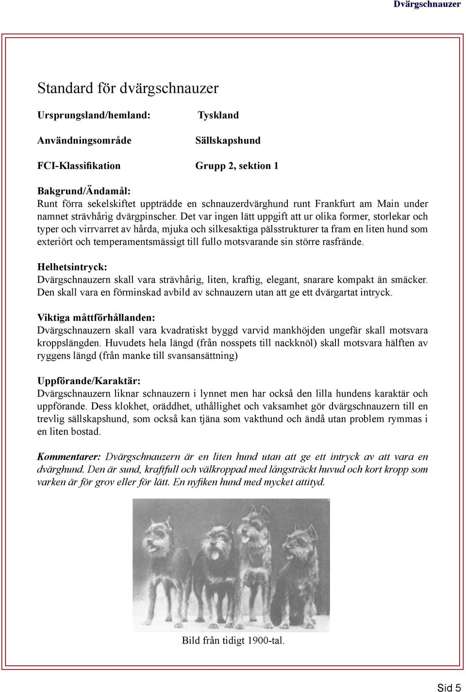 Det var ingen lätt uppgift att ur olika former, storlekar och typer och virrvarret av hårda, mjuka och silkesaktiga pälsstrukturer ta fram en liten hund som exteriört och temperamentsmässigt till