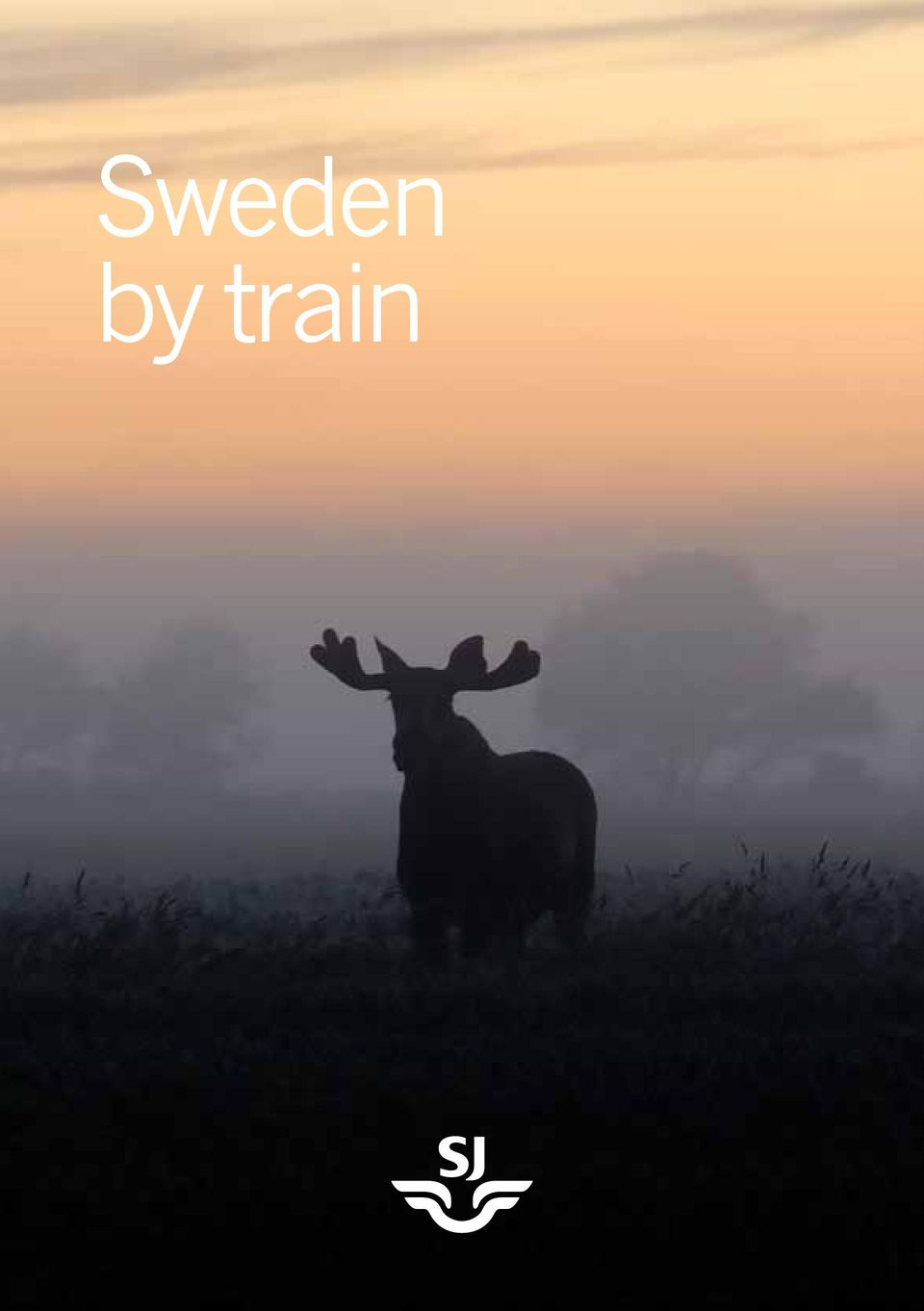 train
