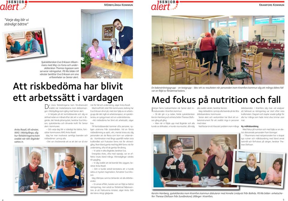 Att riskbedöma har blivit ett arbetssätt i vardagen De stora förändringarna kom förvånansvärt risk för fall och undernäring, säger Anita Rosell.