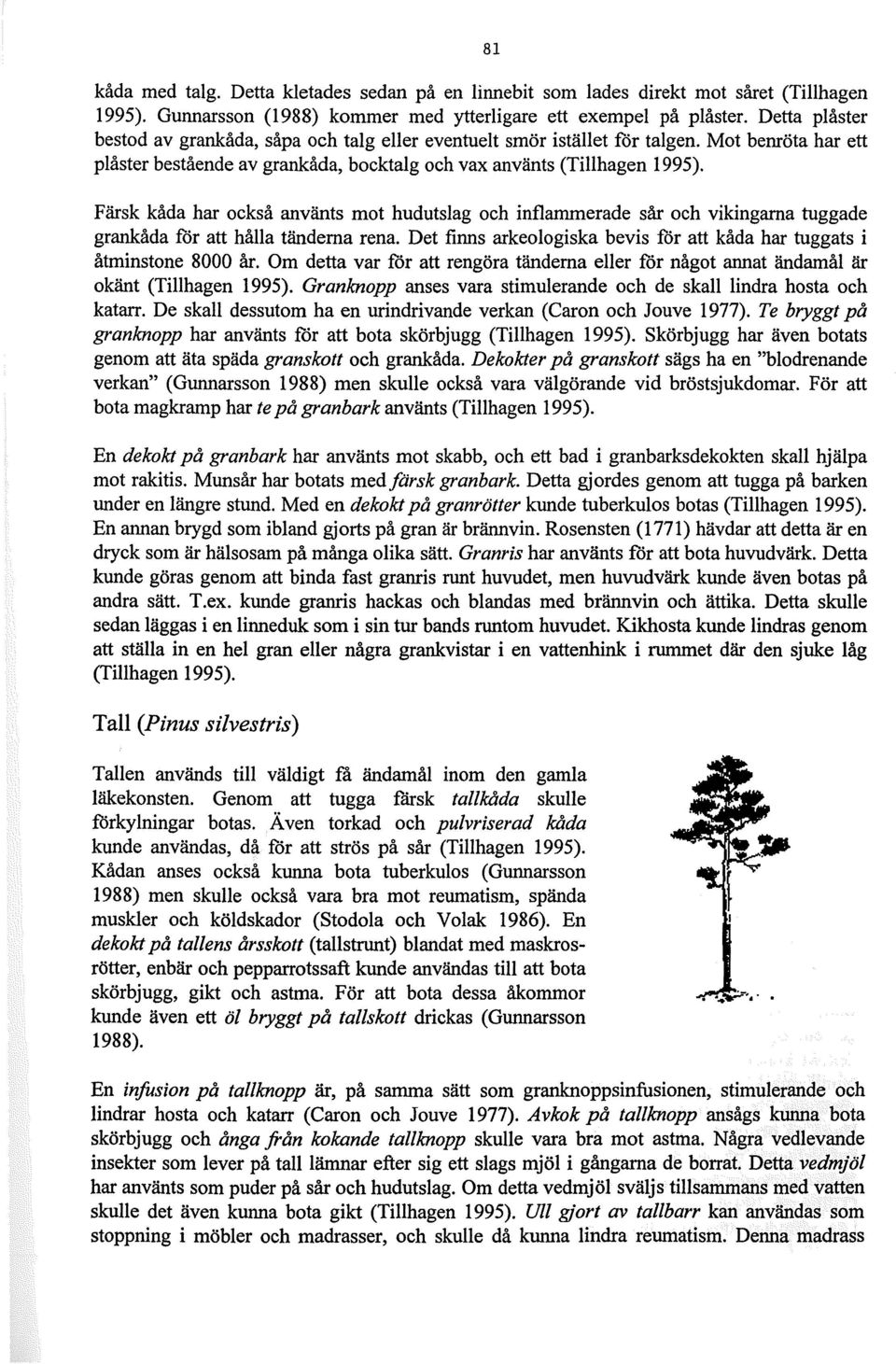 Färsk kåda har också använts mot hudutslag och inflammerade sår och vikingarna tuggade grankåda för att hålla tänderna rena. Det finns arkeologiska bevis för att kåda har tuggats i åtminstone 8000 år.