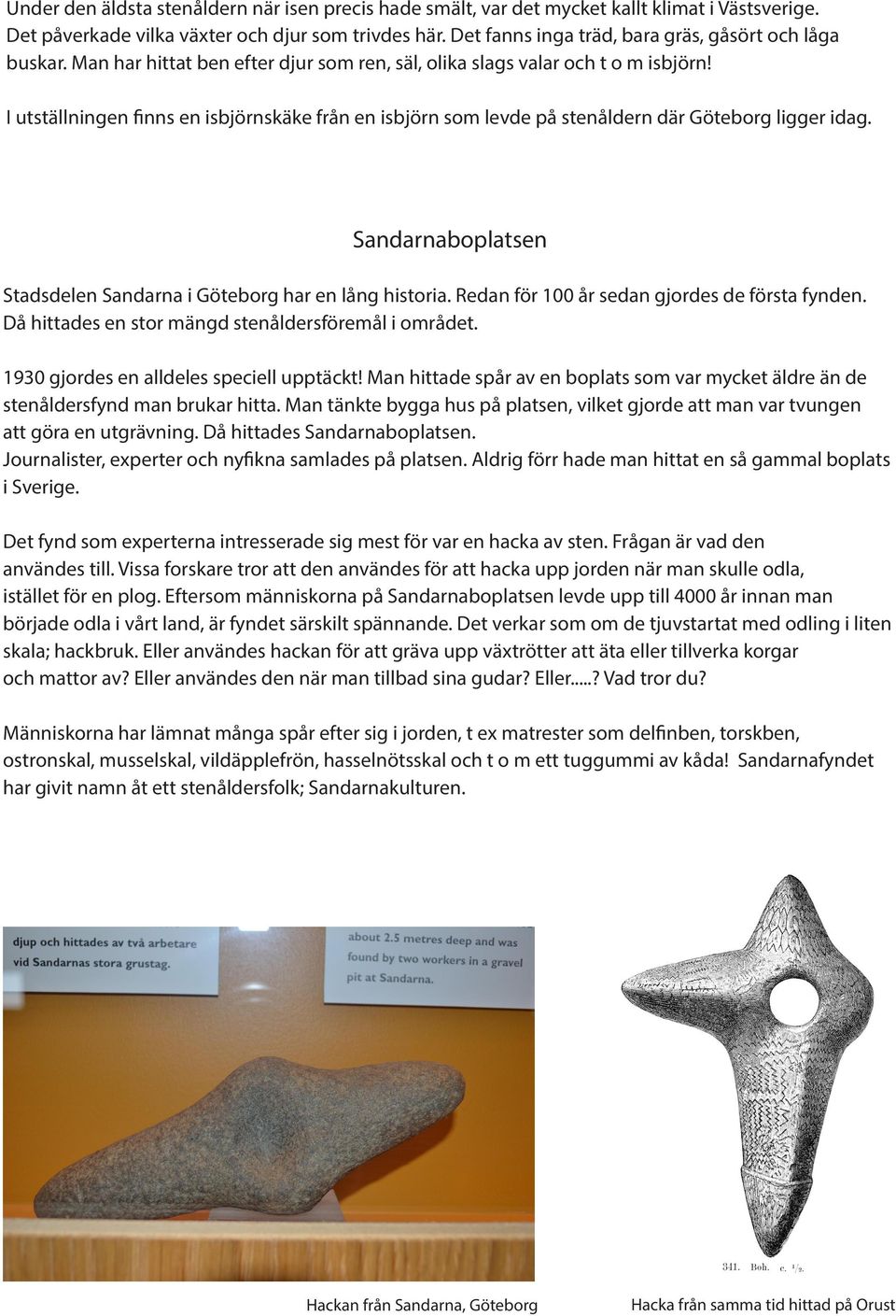 I utställningen finns en isbjörnskäke från en isbjörn som levde på stenåldern där Göteborg ligger idag. Sandarnaboplatsen Stadsdelen Sandarna i Göteborg har en lång historia.