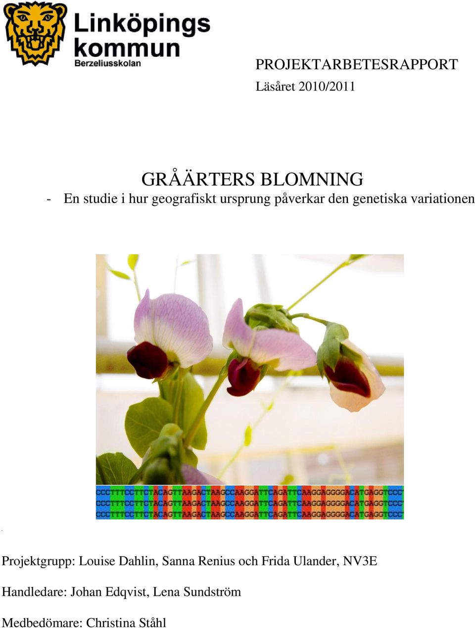 variationen Projektgrupp: Louise Dahlin, Sanna Renius och Frida