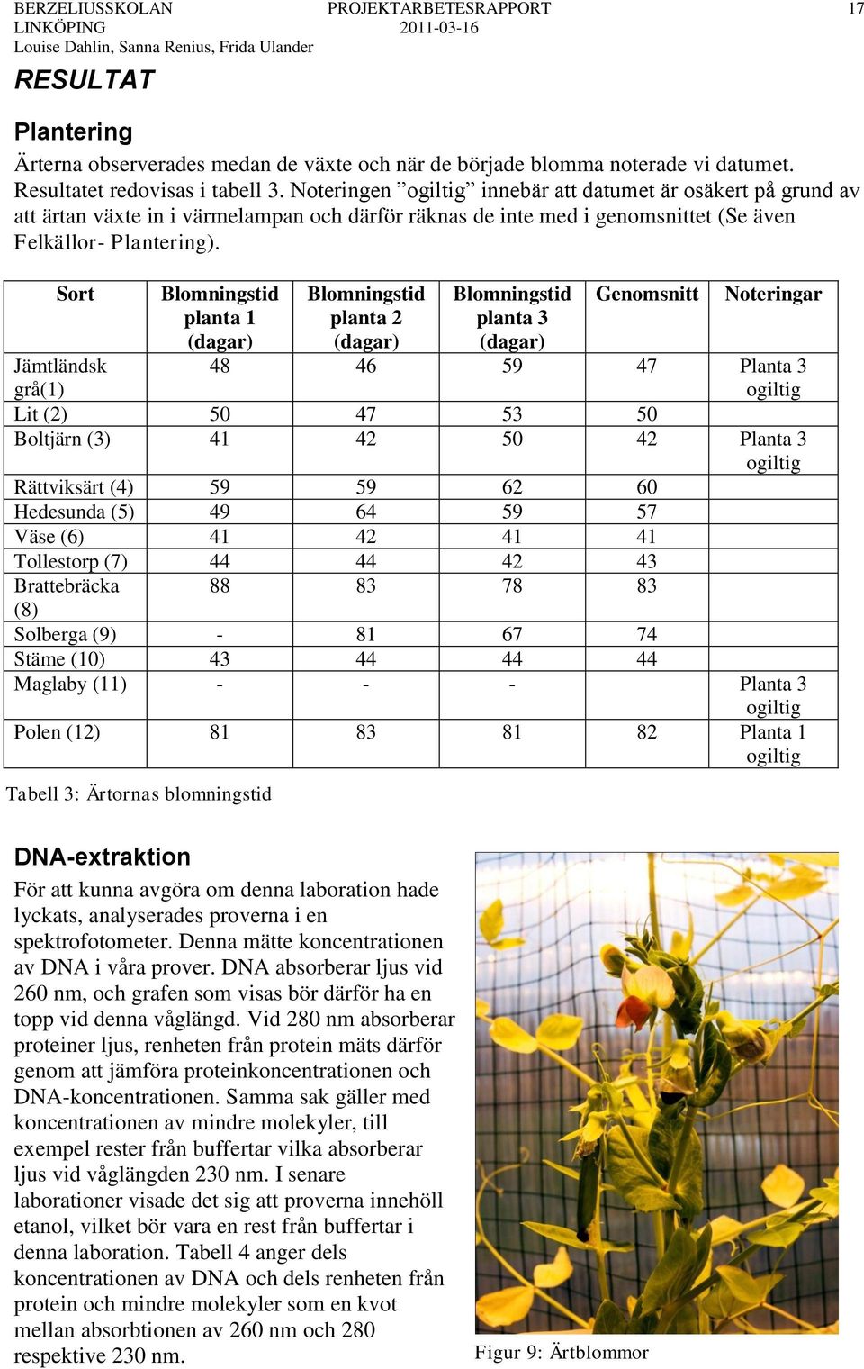 Sort Blomningstid planta 1 (dagar) Blomningstid planta 2 (dagar) Blomningstid planta 3 (dagar) Genomsnitt Noteringar Jämtländsk grå(1) 48 46 59 47 Planta 3 ogiltig Lit (2) 50 47 53 50 Boltjärn (3) 41