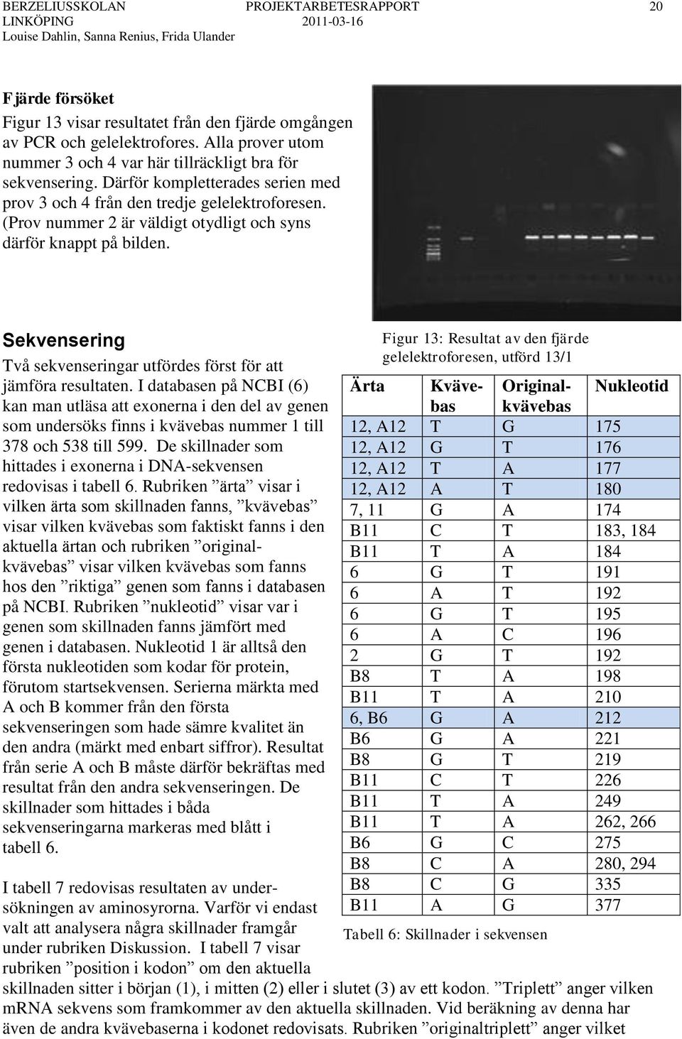 (Prov nummer 2 är väldigt otydligt och syns därför knappt på bilden. Sekvensering Två sekvenseringar utfördes först för att jämföra resultaten.