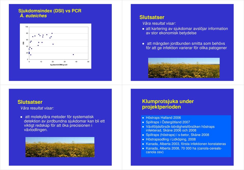 varierar för olika patogener 1 2 3 4 5 fg plasmid-dna/g soil Slutsatser Våra resultat visar: att molekylära metoder för systematisk detektion av jordbundna sjukdomar kan bli ett viktigt redskap