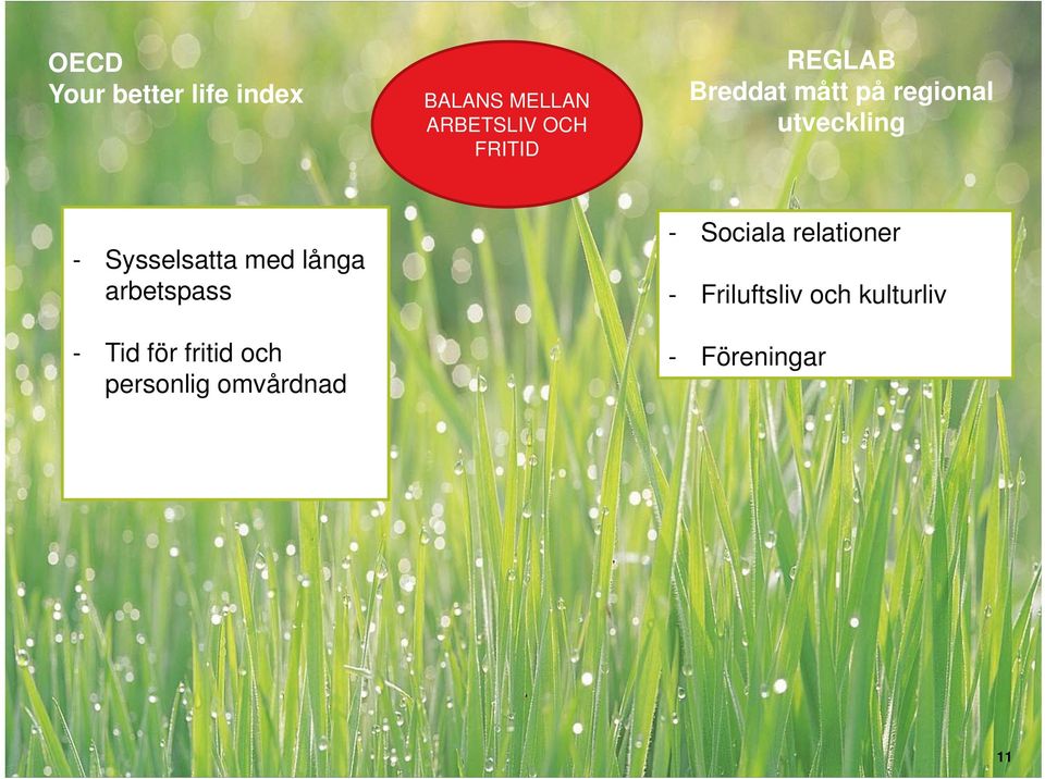 fritid och personlig omvårdnad - Sociala