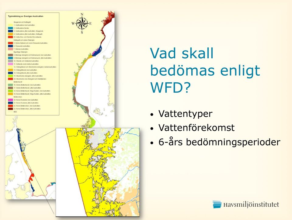 Vattentyper