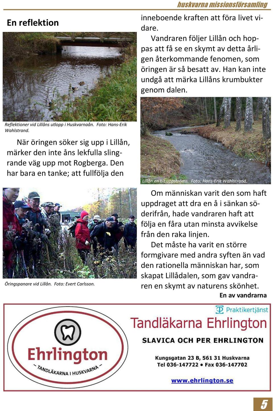 När öringen söker sig upp i Lillån, märker den inte åns lekfulla slingrande väg upp mot Rogberga. Den har bara en tanke; att fullfölja den Öringspanare vid Lillån. Foto: Evert Carlsson.