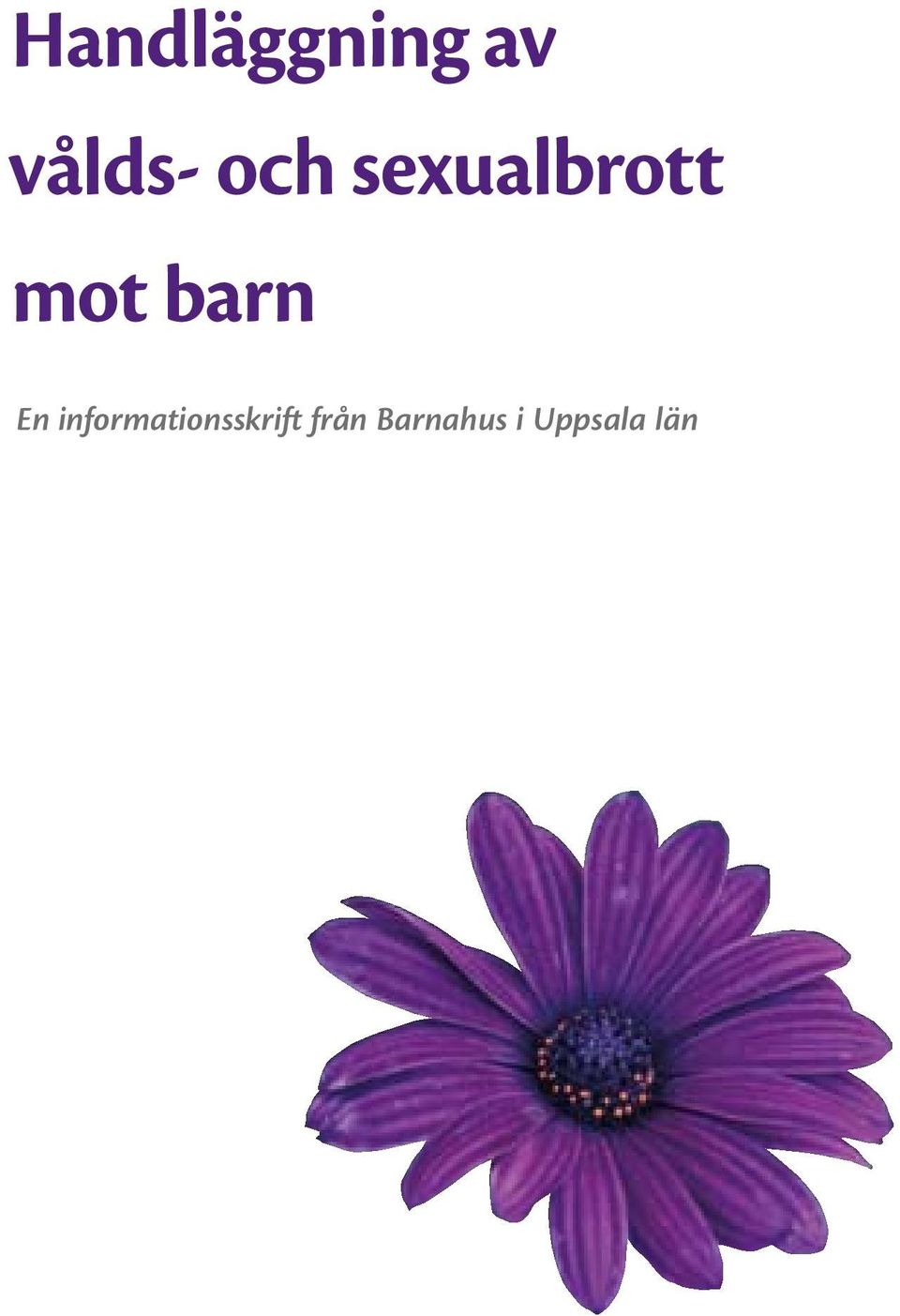 En informationsskrift