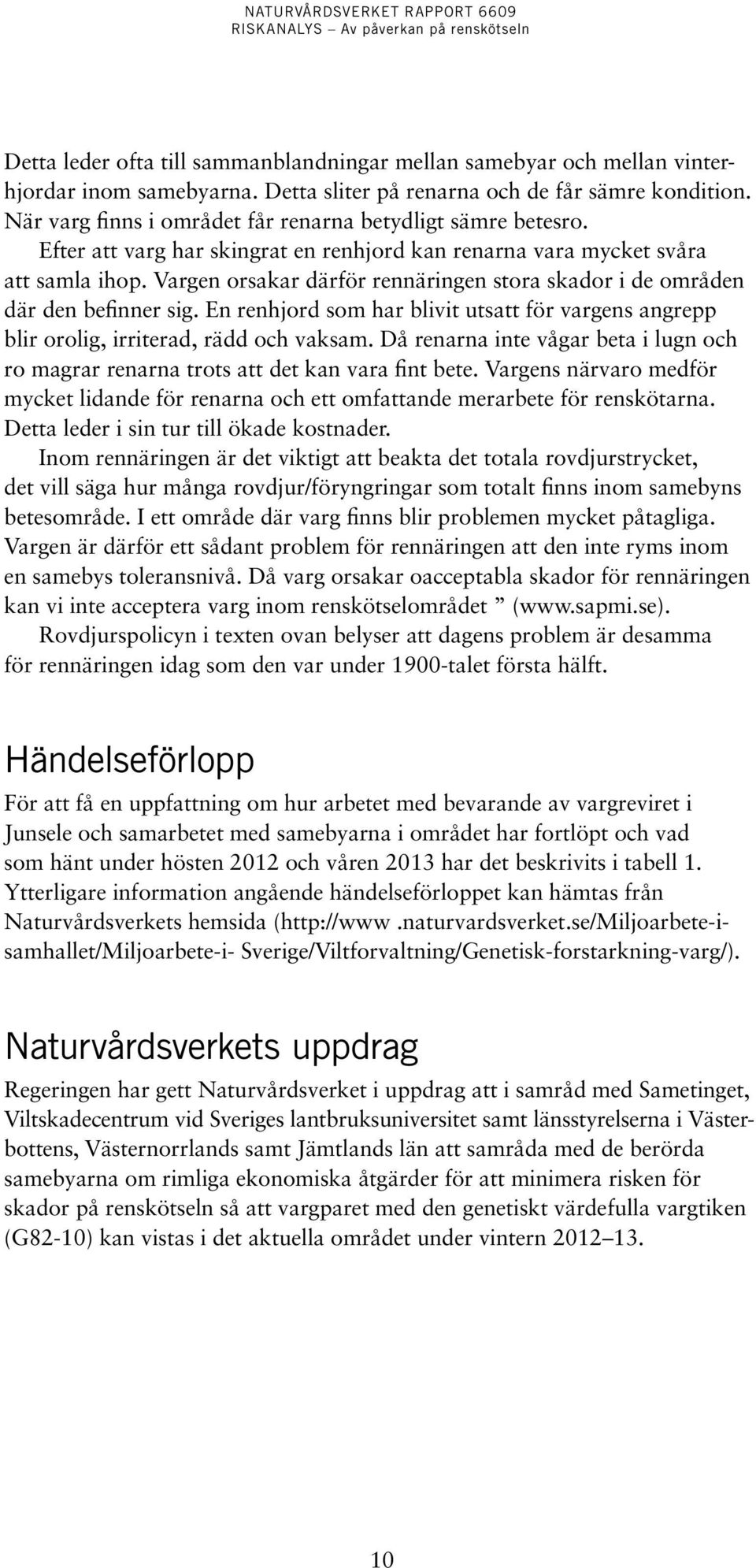Vargen orsakar därför rennäringen stora skador i de områden där den befinner sig. En renhjord som har blivit utsatt för vargens angrepp blir orolig, irriterad, rädd och vaksam.