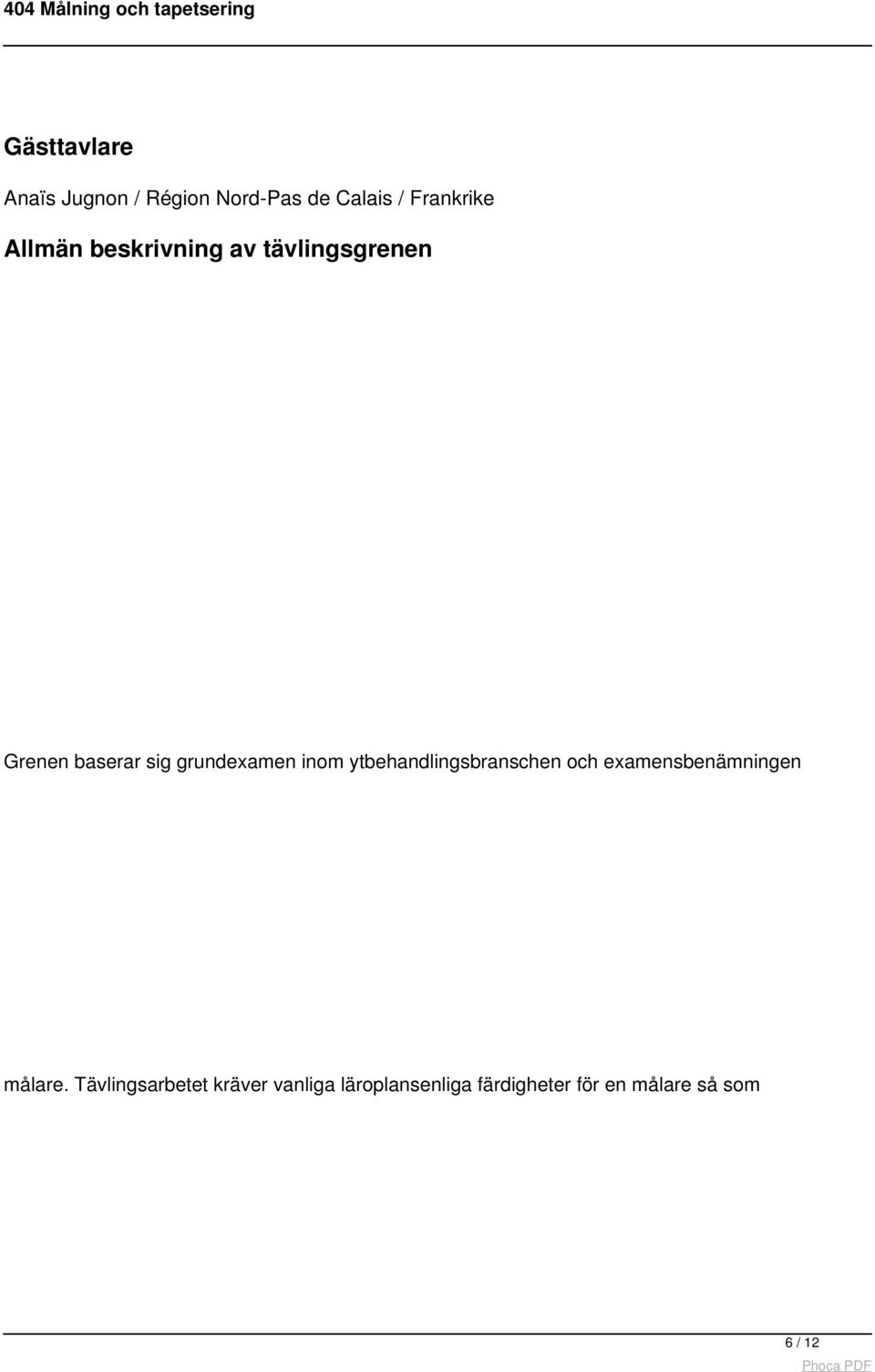 inom ytbehandlingsbranschen och examensbenämningen målare.