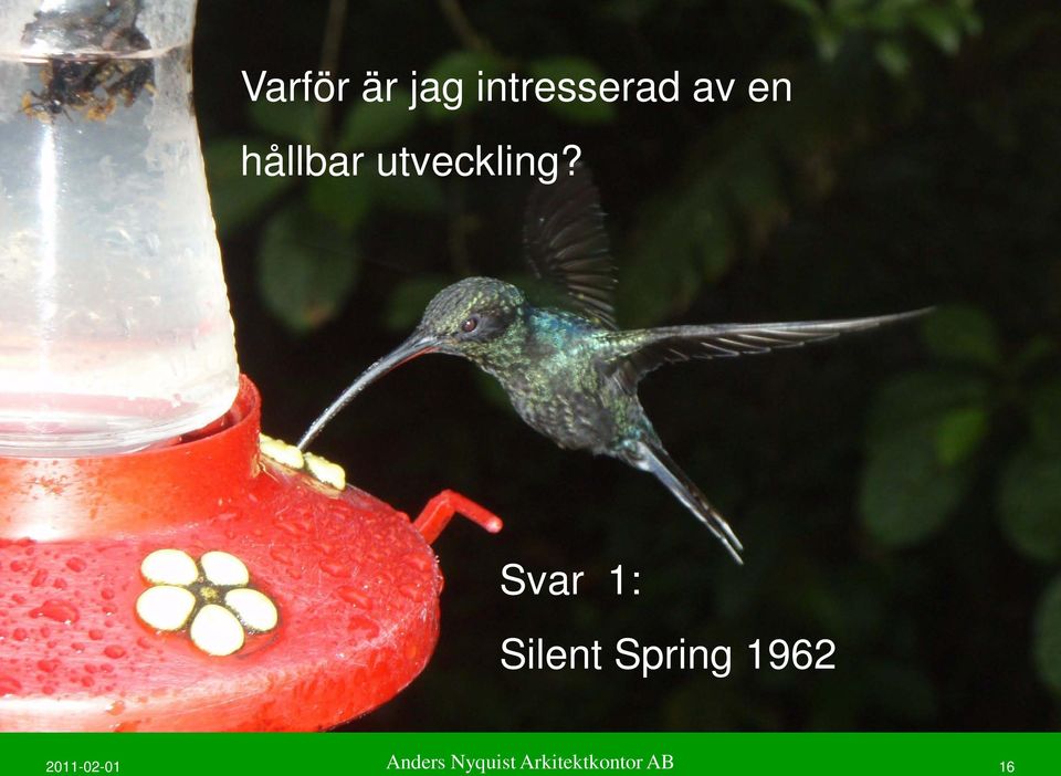 Svar 1: Silent Spring 1962