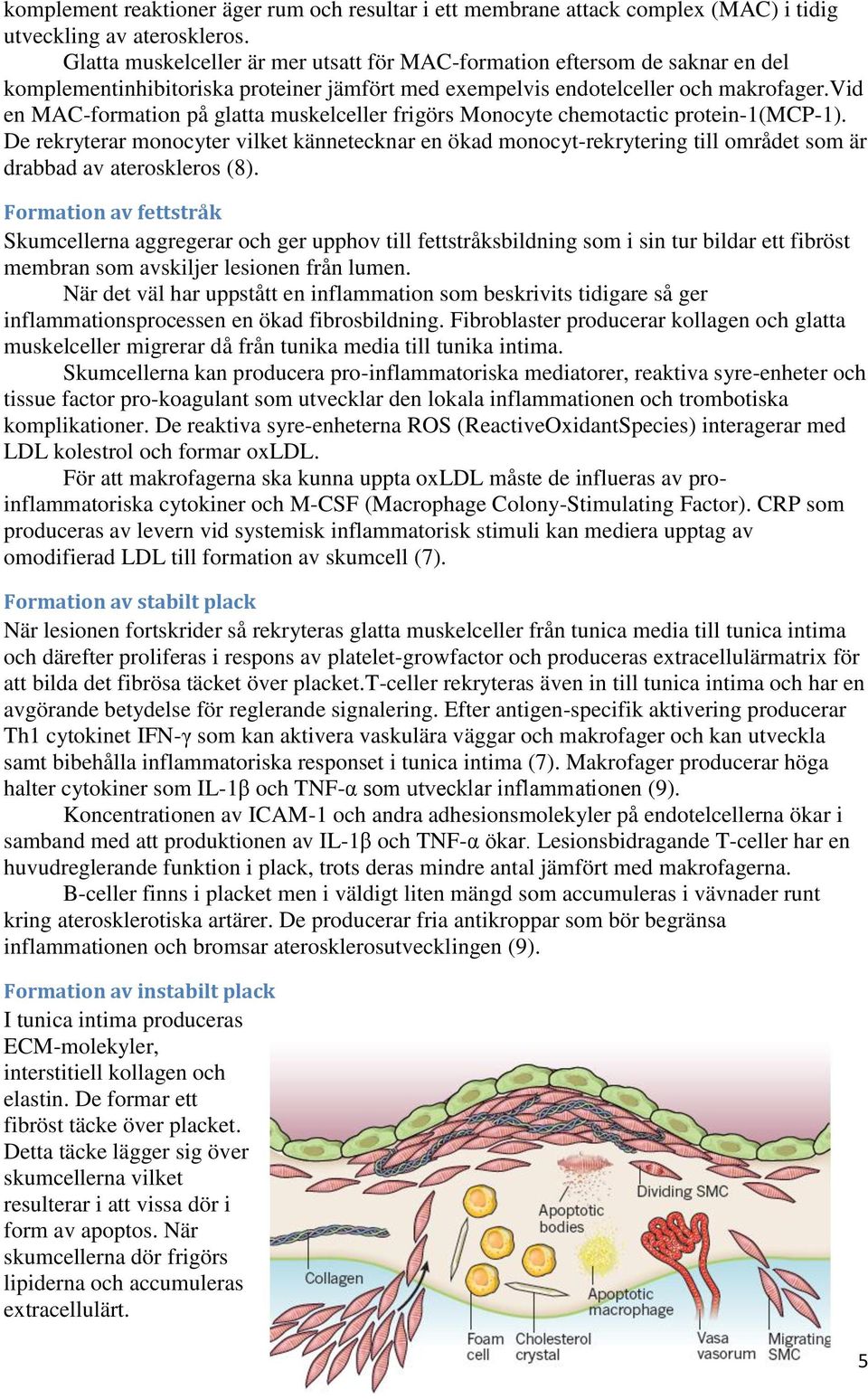 vid en MAC-formation på glatta muskelceller frigörs Monocyte chemotactic protein-1(mcp-1).