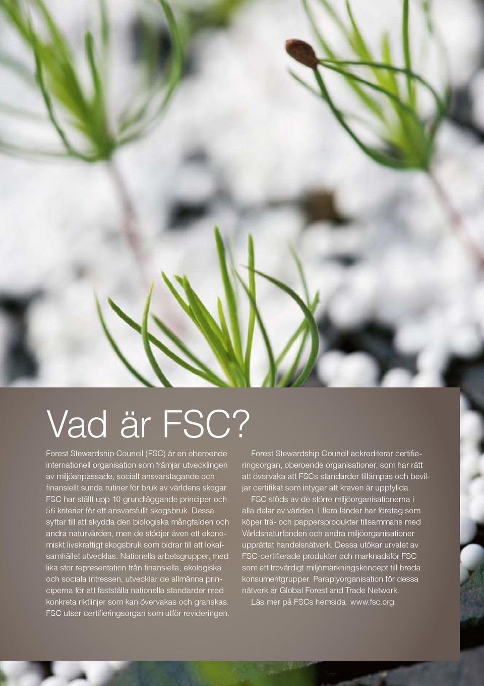 skogar. FSC har ställt upp 10 grundläggande principer och 56 kriterier för ett ansvarsfullt skogsbruk.