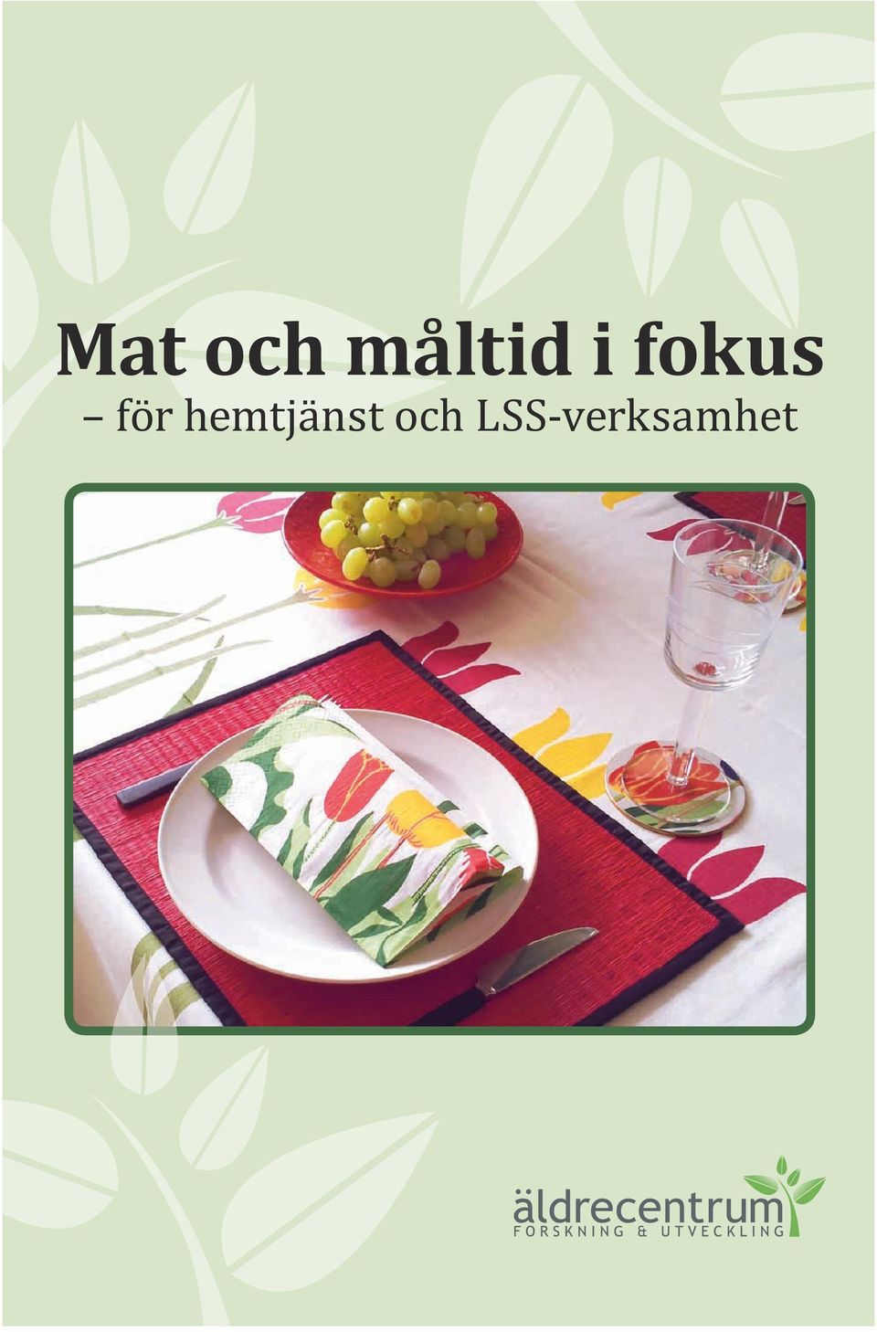 fokus för