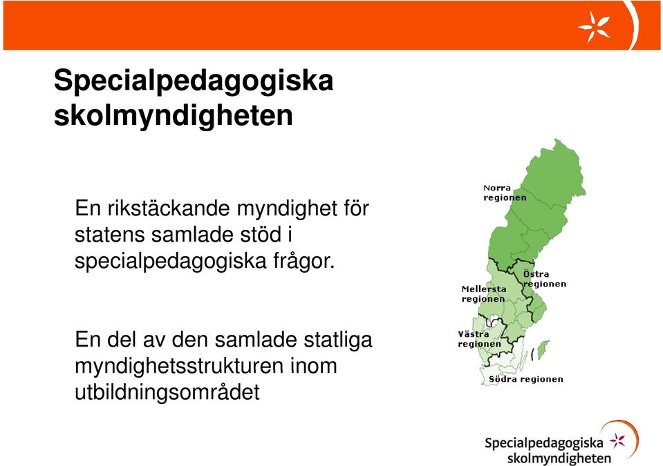 i specialpedagogiska frågor.