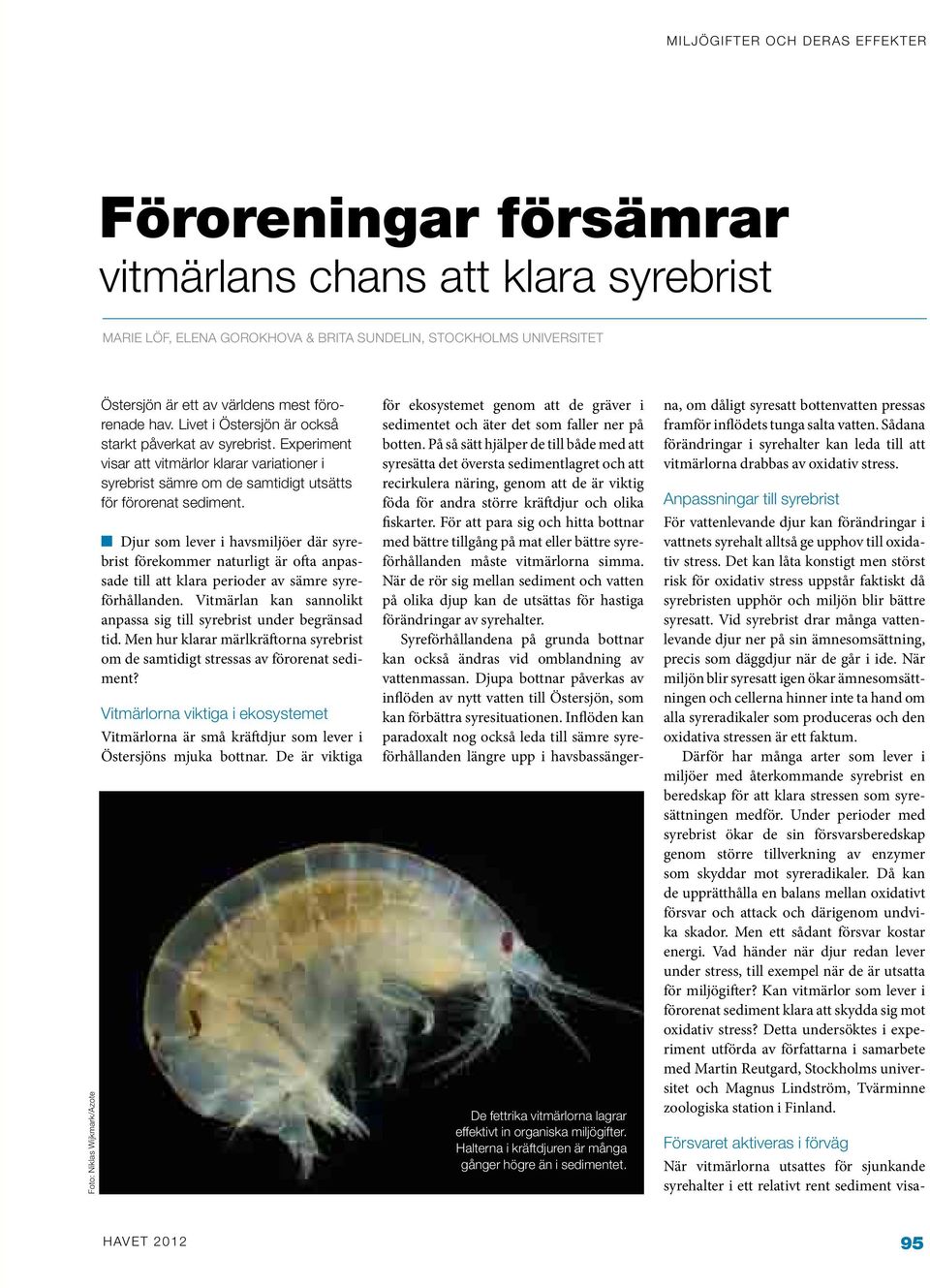 Djur som lever i havsmiljöer där syrebrist förekommer naturligt är ofta anpassade till att klara perioder av sämre syreförhållanden.